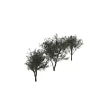 Stylish Decorative Olive Tree Ornament Set for Home Interior 3d model