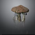 Edible Pink Green Spotted Mushroom with White Stems and Small Brown Stems Around