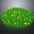 Lush Circular Green Grass With Bright Yellow Flowers On Dark Background