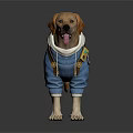Brown Labrador Dog Wearing Blue Denim Hoodie With Backpack And Embroidered Patches