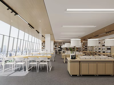 Modern Book Art Space Interior Design With Shelves Tables And Windows 3d model