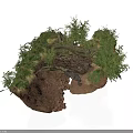 Modern Natural Landscape Decor with Brown Rock Green Plants and Twisted Tree Roots