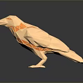 Golden Low Poly Crow Model Standing On Black Smooth Surface With Geometric Cut Details 3d model