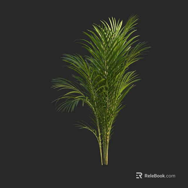 Potted Palm Plant with Thick Stems and Lush Green Foliage for Indoor Decor 3d model 
