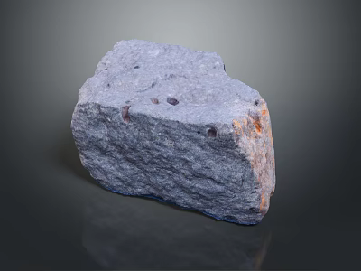 Natural Gray Wood Stone With Rough Surface And Unique Natural Texture Patterns 3d model