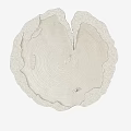 Ivory Shaped Rug With Tree Ring Texture And Frayed Edges For Modern Home Decor