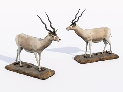 Two Reptile Specimens Placed On Wooden Bases For Decorative 3d model