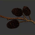 Rustic Wooden Branch Adorned With Brown Pine Cones For Home Decoration