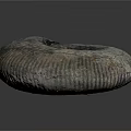 Ancient Marine Ammonite Fossil With Spiral Shell Texture On Gray Background
