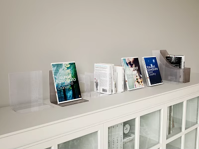 White Showcase Shelf with Transparent Holders and Neatly Arranged Books on Countertop 3d model