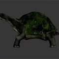 Realistic Green Shell Turtle Model With Textured Surface On Gray Background