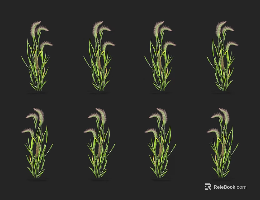 Eight Green Plants With Pink Spiked Flowers On Black Background Arrangement 3d model 