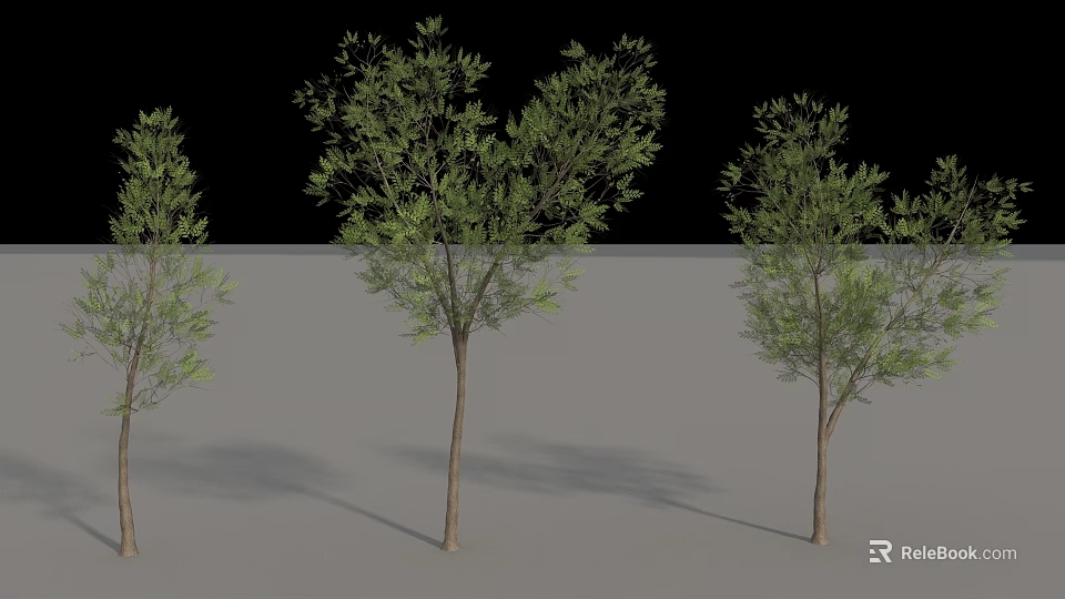 Lush Green Arbor Trees With Brown Trunks And Natural Shadows 3d model 