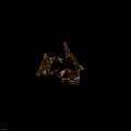 Three Fresh Aquatic Animals Crabs With Natural Colors Extended Claws And Legs