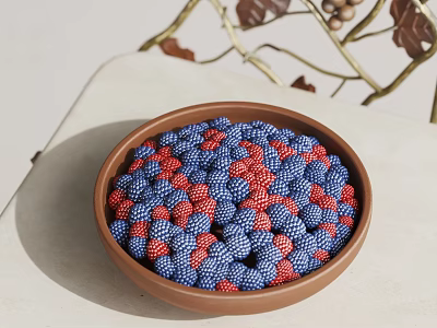 Vibrant Red And Blue Berries In Brown Bowl On Light Tabletop With Twigs And Leaves 3d model