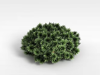 Ornamental Greens 3d model