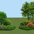 Vibrant Shrubs with Green Red Orange Yellow Foliage in Lawn Garden