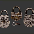 Rustic Antique Iron Padlocks Arranged With Small Vintage Key on Reflective Surface 3d model