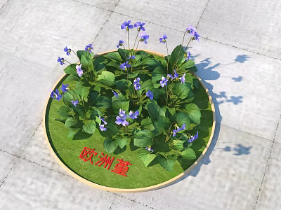 Roadside Flower Bed With European Violets And Lush Green Foliage In Urban Area 3d model