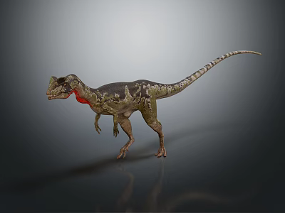 Reptile Dinosaur With Green Brown Skin Red Throat Standing On Gray Background Shadow And Reflection 3d model