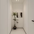Minimalist White Entryway Hallway Interior With Potted Plant Decorative Painting And Black Door Handle