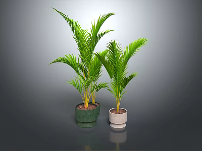 Green potted plants in green and white pots. 3d model