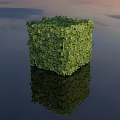 Cubic Green Bush with Reflection on Water Surface and Sunset Sky Background 3d model