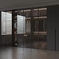 Modern Lighted Wardrobe Interior Design With Glass Doors Hanging Clothes And Storage Shelves