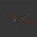 Vibrant Dragonfly With Red Transparent Wings And Striped Body On Dark Background