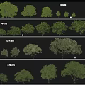 Various Arbor Tree Models Showcasing Different Sizes And Foliage Types 3d model