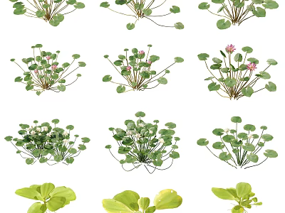 Modern lotus purple water lily white water lily red water lily water lily large water lily large water lily locust leaf apple whole grass aquatic fern 3d model