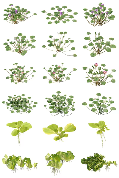 Fresh Green Leafy Plants With Pink Flowers For Natural Garden Decoration 3d model