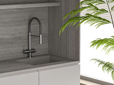 Kitchen Faucet on Gray Countertop Gray Wall White Cabinet with Green Plant and Natural Light 3d model