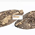 Stone Wood with Natural Rough Surface and Decorative Textural Design 3d model