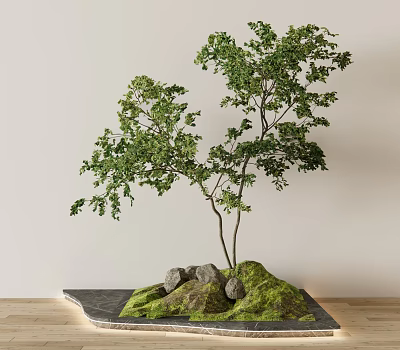 Ornamental Tree With Green Leaves Stones And Moss On Black Platform 3d model