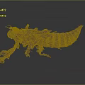 Detailed Brown Insect Larva With Segmented Body And Multiple Legs Isolated On Gray Background