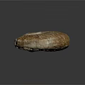 Natural Stone Ammonite Fossil Sculpture With Intricate Spiral Patterns And Textured Surface