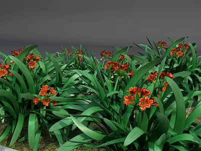 Vibrant Orange Flowers With Lush Green Leaves In Natural Garden Setting 3d model