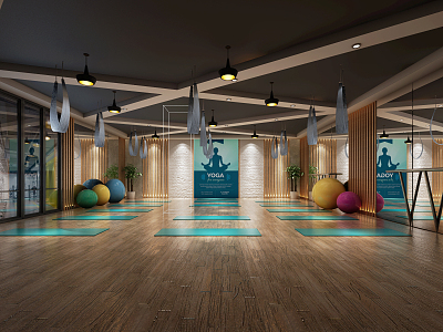 Modern Yoga Room Gym 3d model