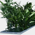 Green Plant Wall With Lush Green Foliage And Various Tropical Leaves For Decor