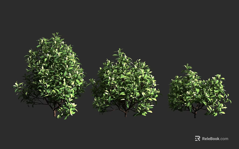 Three Different Sizes of Lush Arbor with Green Leaves and Natural Shapes 3d model 