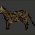 Realistic Tabby Cat Standing On Reflective Surface With Striped Fur And Green Eyes