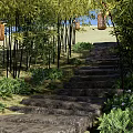 Scenic Park Landscape with Stone Steps Bamboo Trees Hanging Lanterns and Green Plants