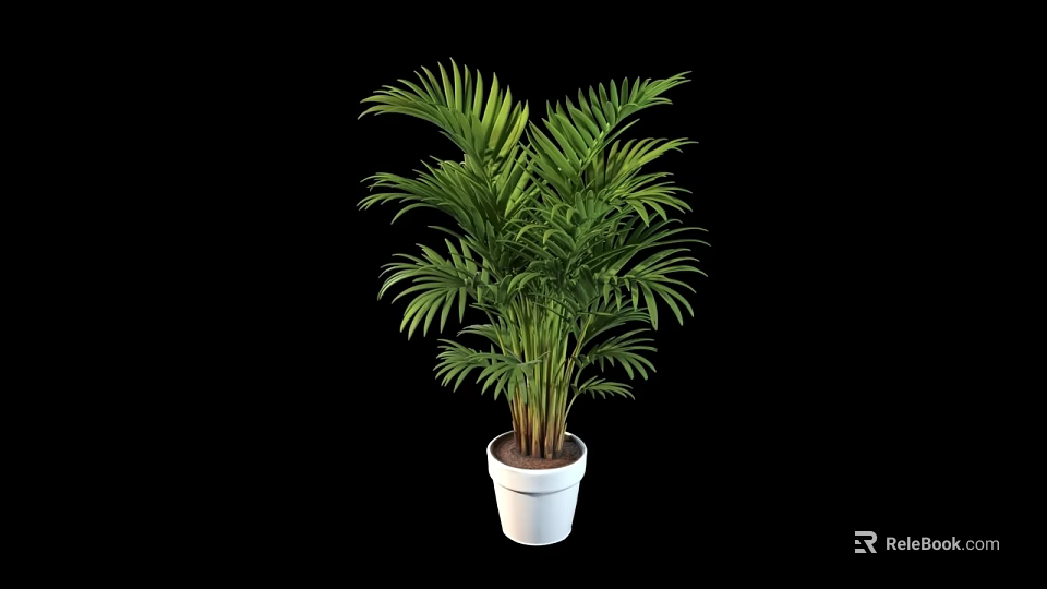 Potted Palm Tree with Lush Green Leaves in White Pot as Indoor Decorative Plant 3d model 
