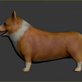 Animated Game Movie Character Corgi With Orange White Fur Tongue Out Standing On Dark Background