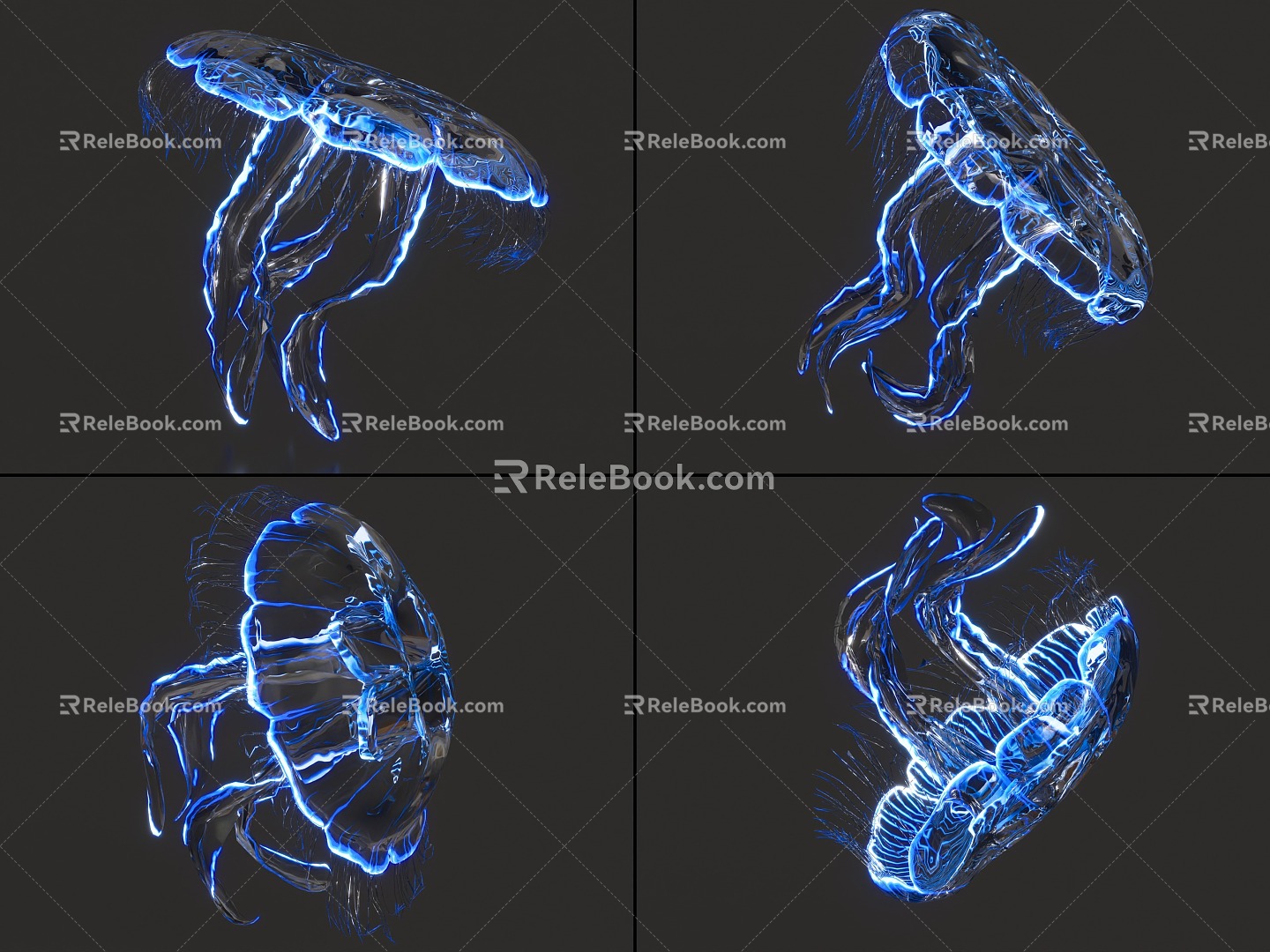 Jellyfish with binding and animation moon jellyfish sea moon jellyfish glowing jellyfish marine life 3d model