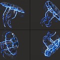 Jellyfish with binding and animation moon jellyfish sea moon jellyfish glowing jellyfish marine life 3d model