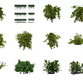 Modern shrubs 3d model