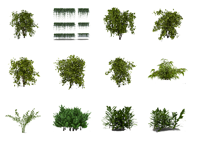 Modern shrubs 3d model