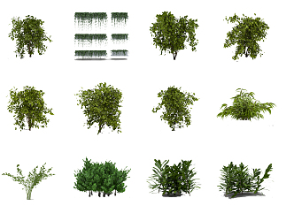 Modern shrubs 3d model